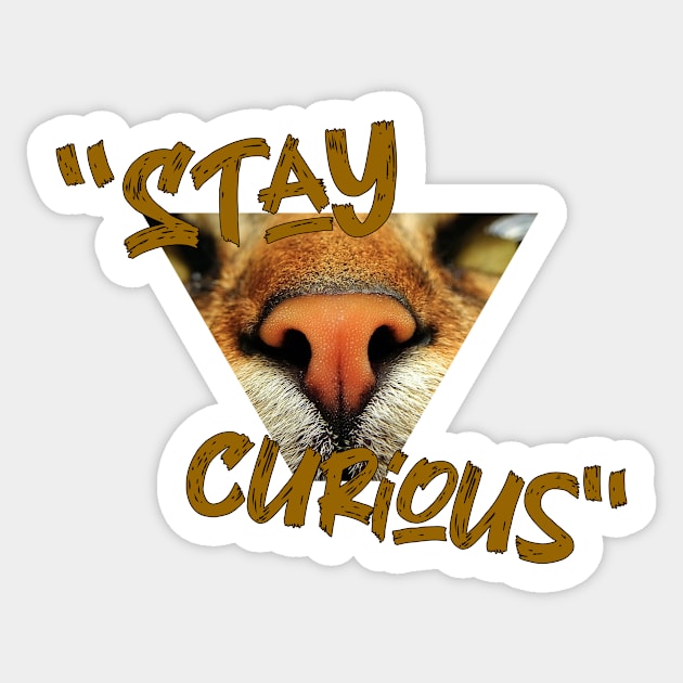 Stay curious Sticker by creakraft